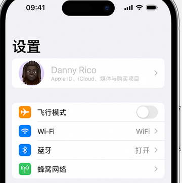 东安appleID维修服务iPhone设置中Apple ID显示为灰色无法使用 