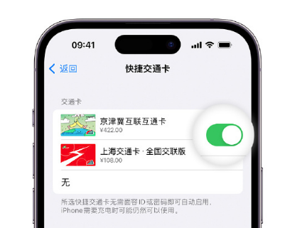 东安apple维修点分享iPhone上更换Apple Pay快捷交通卡手绘卡面 