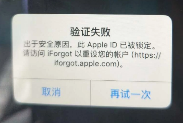 东安iPhone维修分享iPhone上正常登录或使用AppleID怎么办 