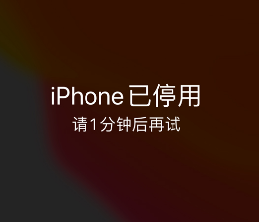 东安苹果手机维修分享:iPhone 显示“不可用”或“已停用”怎么办？还能保留数据吗？ 