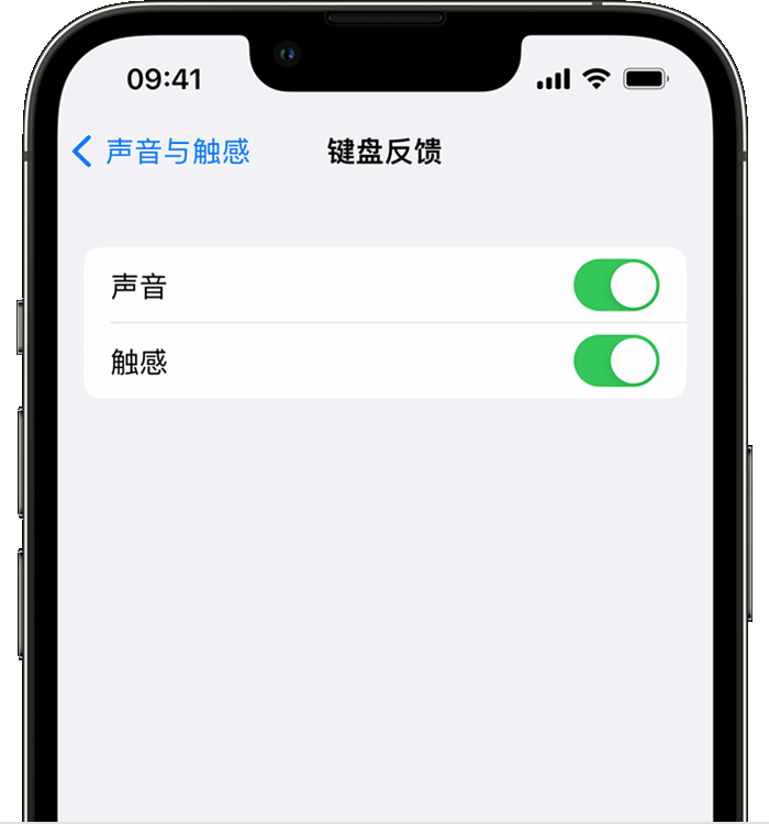 东安苹果14维修店分享如何在 iPhone 14 机型中使用触感键盘 