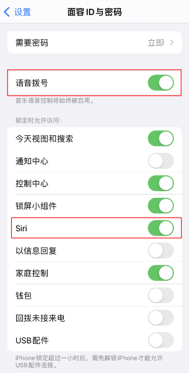 东安苹果维修网点分享不解锁 iPhone 的情况下通过 Siri 拨打电话的方法 