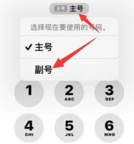 东安苹果14维修店分享iPhone 14 Pro Max使用副卡打电话的方法 