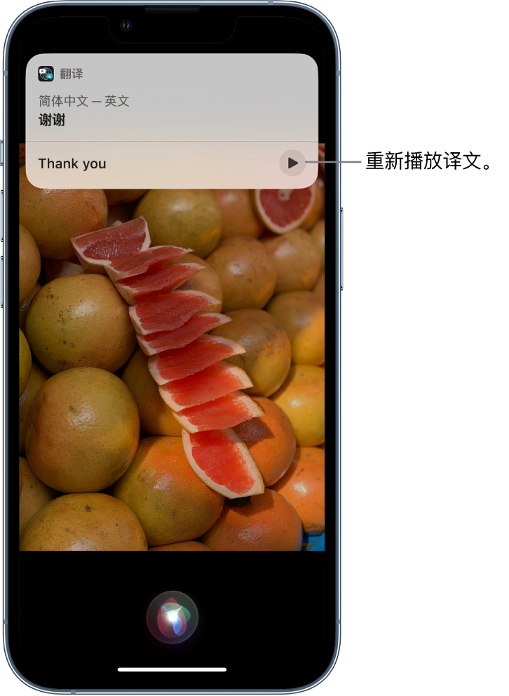 东安苹果14维修分享 iPhone 14 机型中使用 Siri：了解 Siri 能帮你做什么 