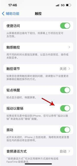 东安苹果手机维修分享iPhone手机如何设置摇一摇删除文字 