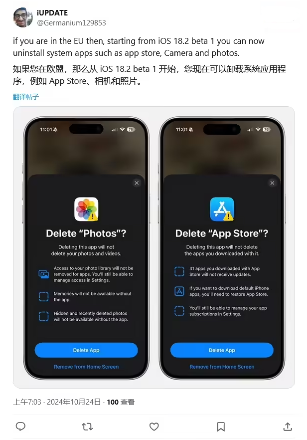 东安苹果手机维修分享iOS 18.2 支持删除 App Store 应用商店 