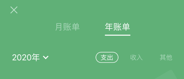 东安苹果手机维修分享如何在 iPhone 上查看支付宝和微信年支出账单 